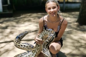 Bali: Tour del centro di conservazione delle tartarughe e liberazione delle tartarughe