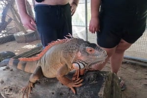 Bali: Tour del centro di conservazione delle tartarughe e liberazione delle tartarughe