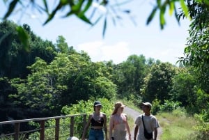 バリ島：ウミガメ保護センター訪問＆島のランドツアー