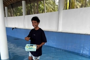 バリ島：ウミガメ保護センター訪問＆島のランドツアー