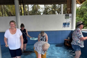 バリ島：ウミガメ保護センター訪問＆島のランドツアー