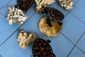 バリ島：ウミガメ保護センター訪問＆島のランドツアー