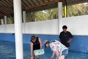 バリ島：ウミガメ保護センター訪問＆島のランドツアー