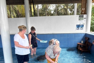 バリ島：ウミガメ保護センター訪問＆島のランドツアー