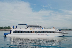 バリ島：ウミガメ保護センター訪問＆島のランドツアー