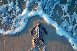 Bali: Turtle Island, and Beaches - Private Tour