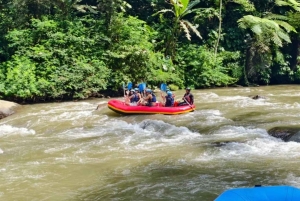 Bali Ubud Adventure: ATV Ride, Rafting & Alas Swing Day Tour
