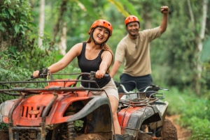 Bali: Aventura en Ubud, Columpio, Bosque de los Monos y Excursión a las Cascadas.