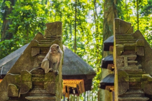 Bali: Aventura en Ubud, Columpio, Bosque de los Monos y Excursión a las Cascadas.