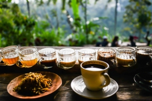 Bali: Aventura en Ubud, Columpio, Bosque de los Monos y Excursión a las Cascadas.