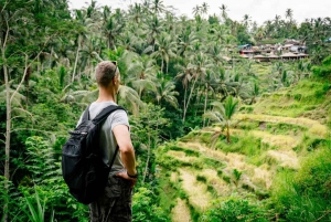 Bali: Ubud and Tanah Lot Small Group Guided Tour