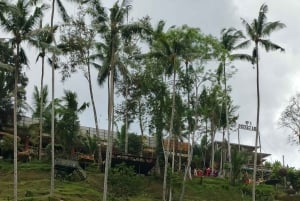 Bali: Ubud and Uluwatu Highlights Tour with Kecak Dance