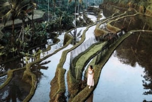 Ubud: Rice Terrace, Holy Water Temple & Waterfalls Trek Tour