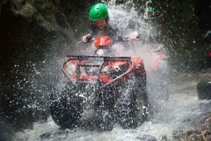 バリ島：ウブドで四輪バギーアドベンチャー（ドラゴンの洞窟とランチ付き）