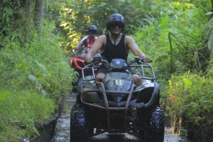 Bali : aventure en quad à Ubud, rizières et jungle