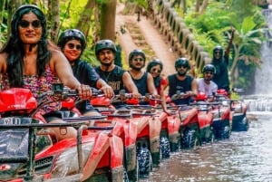 Bali: Ubud ATV Quad Bike -seikkailu lounaalla ja uima-altaalle pääsyyn