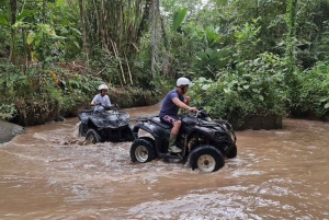 Bali: Ubud ATV Quad Bike Adventure