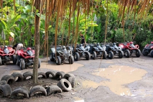 Bali: Ubud ATV Quad Bike Adventure