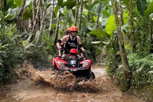 Bali: Ubud ATV Quad Bike, Jungle Swing & Rice Terrace Tour