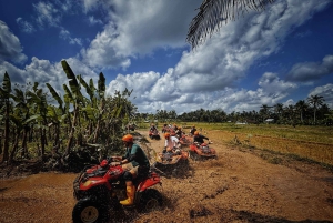 Bali: Ubud ATV Quad Bike, Jungle Swing & Rice Terrace Tour