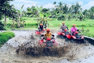 Bali: Ubud ATV Quad Bike, Jungle Swing & Rice Terrace Tour