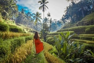 Bali: Ubud ATV Quad Bike, Jungle Swing & Rice Terrace Tour
