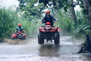Bali: Ubud ATV Quad Bike, Jungle Swing & Rice Terrace Tour