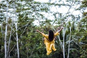 Bali: Ubud ATV Quad Bike, Jungle Swing & Rice Terrace Tour