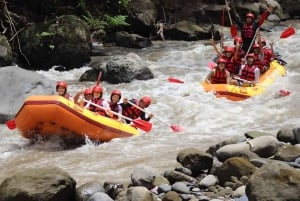 Bali : Ubud - Combinaison tout compris de quad et de rafting à Ubud