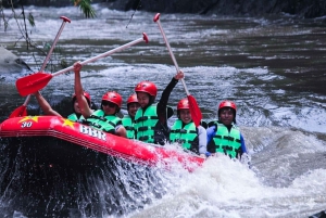 Bali/Ubud: Quad, Rafting & Infinity-Pool