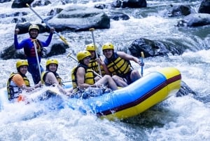 Bali/Ubud: ATV-firhjuling, vannrafting og evighetsbasseng