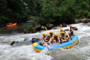 Ubud: Beji River Adventure ATV yksityisillä radoilla