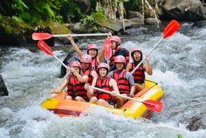 Bali: Ubud Ayung Rivier Rafting Avontuur met Gids & Lunch