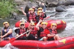 Bali: Ubud Ayung Rivier Rafting Avontuur met Gids & Lunch