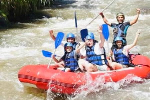 Bali: Ubud Ayung Rivier Rafting Avontuur met Gids & Lunch