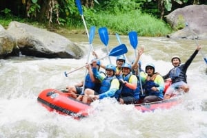 Bali: Ubud Ayung Rivier Rafting Avontuur met Gids & Lunch