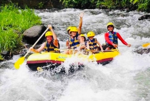 Bali: Ubud Ayung Rivier Rafting Avontuur met Gids & Lunch