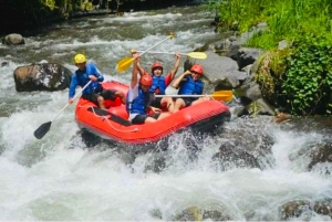 Bali: Ubud Ayung Rivier Rafting Avontuur met Gids & Lunch