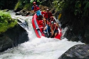 Bali: Ubud Ayung Rivier Rafting Avontuur met Gids & Lunch