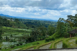 Bali: ubud costumize kiertue yksityisen kuljettajan kanssa