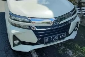 Bali: ubud costumize tour with private driver