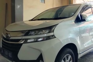 Bali: ubud costumize tour with private driver