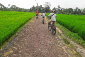 Bali: Ubud Country Side Cycling Tour with Lunch