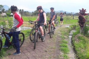 Bali: Ubud Country Side Cycling Tour with Lunch