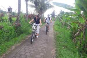 Bali: Ubud Country Side Cycling Tour with Lunch