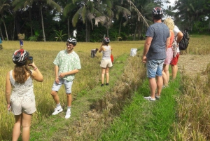 Bali: Ubud Country Side Cycling Tour with Lunch