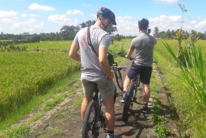 Bali: Ubud Country Side Cycling Tour with Lunch