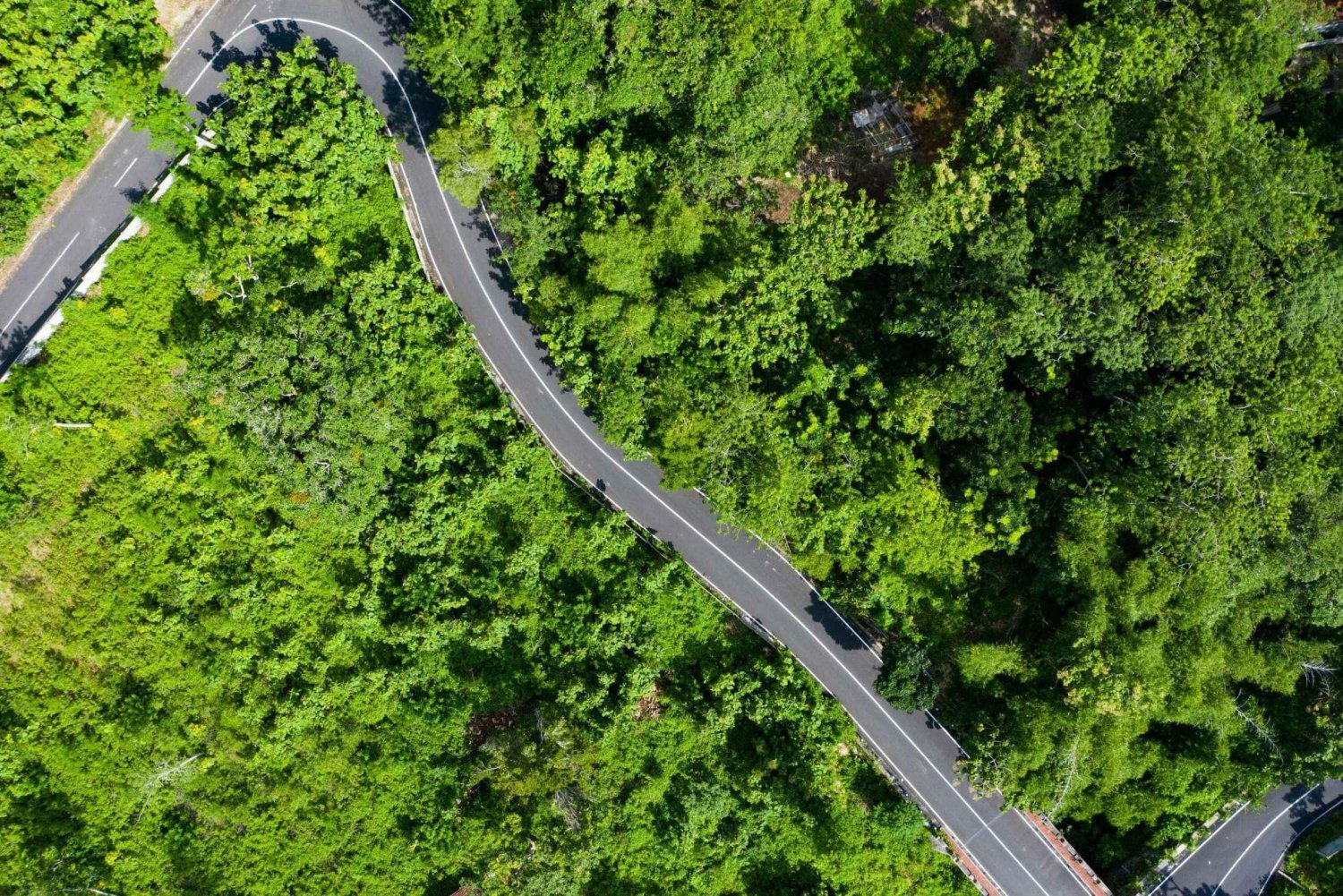 Bali: Ubud Countryside Ricefields & waterfall Scooter Tour