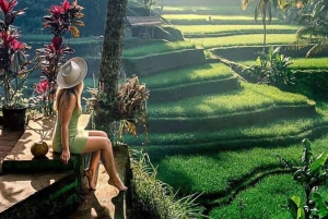 Bali: Ubud Day Tour with Swing and Zipline