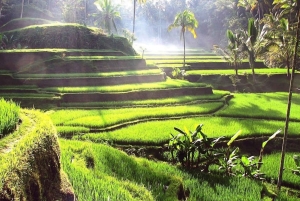 Bali: Ubud Day Tour with Swing and Zipline